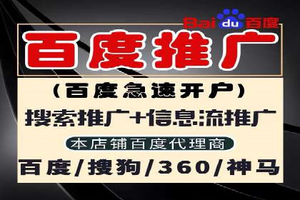 Sem优化公司案例：优化方案定制服务